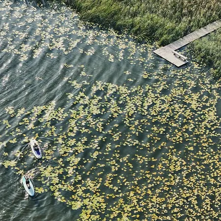 Апартаменты Windyki *